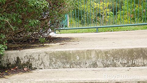 Jacob Buccella - Isaac Muller - BoyFun