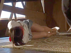 Japan Bondage I