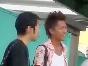 Japanese sex train