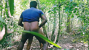 Jungal Big Feeling
