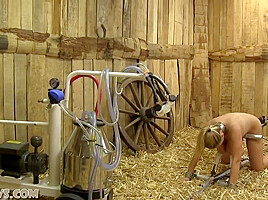 Kat Arina In Hucow Sex Machine Milked Bdsm
