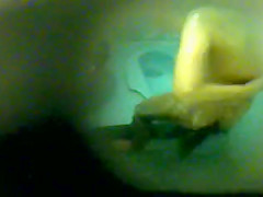Lass With Big Bush Below Hidden Shower