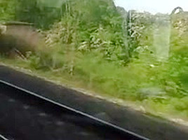 Lilly77777 prend le train