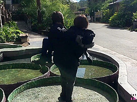 Love Birds