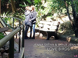 Love Birds