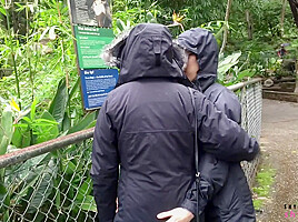 Love Birds