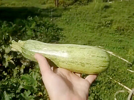 Lovejuicesmaker - A Giant Zuccini In Tiny Hairy Pussy!