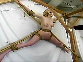 Lovely Kristina Rose having a real BDSM experience
