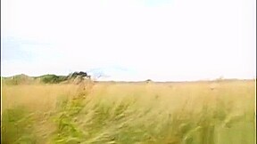 Massive Titties Whore Wrecked In Public