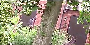 Mature British Milf Sucking Fucking Black Cock