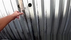 Mofos - Latina Sex Tapes - Wild Nudist Girlfr