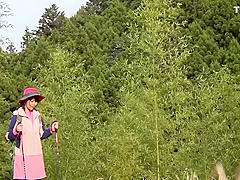 Mountain Girl I Was Out In The Field And They Saw Me!