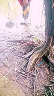 Naibroat Bhabhi Cjance His Dress Side The Pond