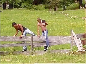 Nice Little Fuck On The Farm Next To Some Cows!