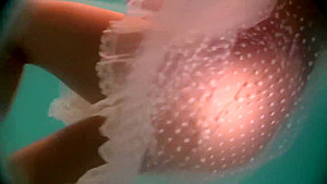 Outdoor Swimming Pool teen 18+ Natalia Kupalka
