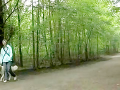 Pet enjoys forest walk