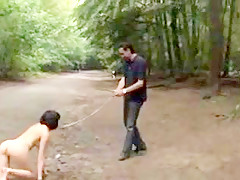 Pet enjoys forest walk