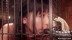 Petite Asian Slave Anal Strap On Banged