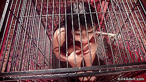 Petite Asian Slave Anal Strap On Banged