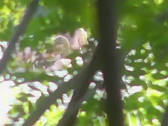 Public Russian Beach Couple Sex
