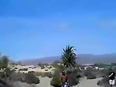 Public sex - Gran Canaria
