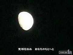 Reijo Video Miniskirt 2