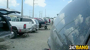 Risky Junk Yard Pussy