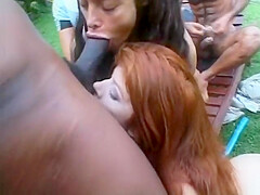 Rocco Siffredis Crazy Harem - 2
