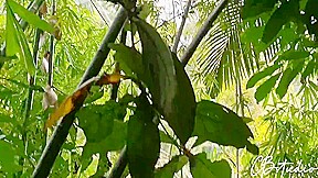 Sex In The Jungle
