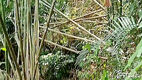 Sex In The Jungle