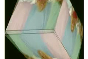 Shemale blonde anal