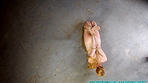 Site Arielanderssendidhogtie Parrt2