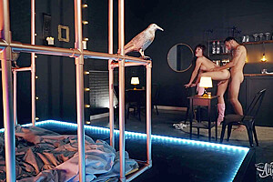 Skinny Burlesque Ladyboy Crazy Sex Video