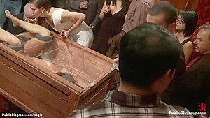 Slut In Wooden Glass Box Public Fucked