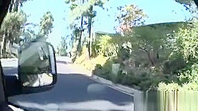 Slutty Darling Gives Wild Riding