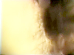 Softcore Nudes 584 1970's - Scene 2
