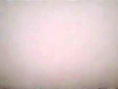 Spy Spy Cams Scene