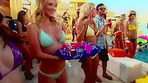 Standard Classic American Party