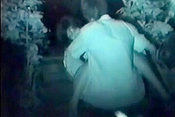 Street night park sex
