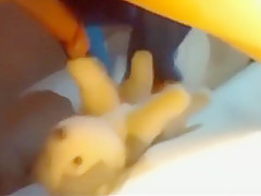 Stuffing My Stuffie