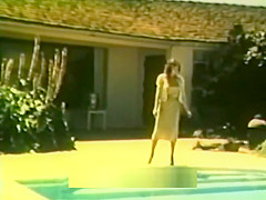 Swedish Erotica 321 - Fly Girl: Brooke West, John Holmes
