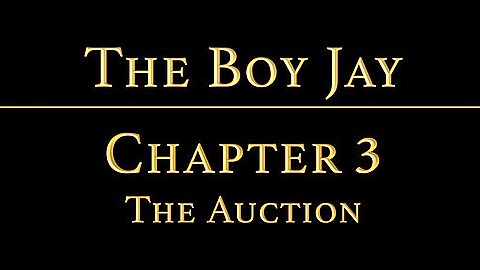 THE BOY JAY Chapter 2 - The Auction