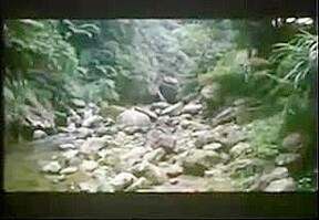 Taiwan vintage movie 1