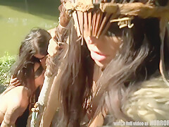 The Amazons