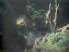 Tigresses & Other Man - - Eaters