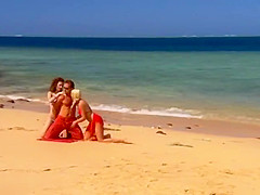 Tropical - African Temptations