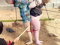 Two Asian Suspended