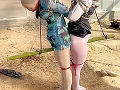 Two Asian Suspended