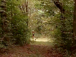 Used in the woods