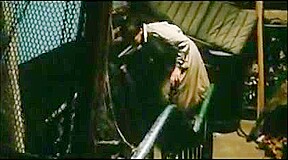 Vampyres (1974)